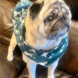 Stylish Green Dog Coat